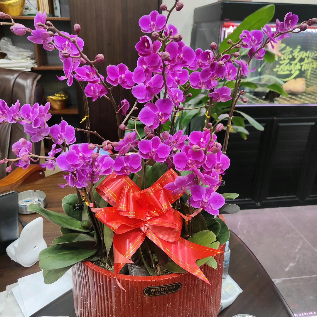 阳河小桥边：三哥