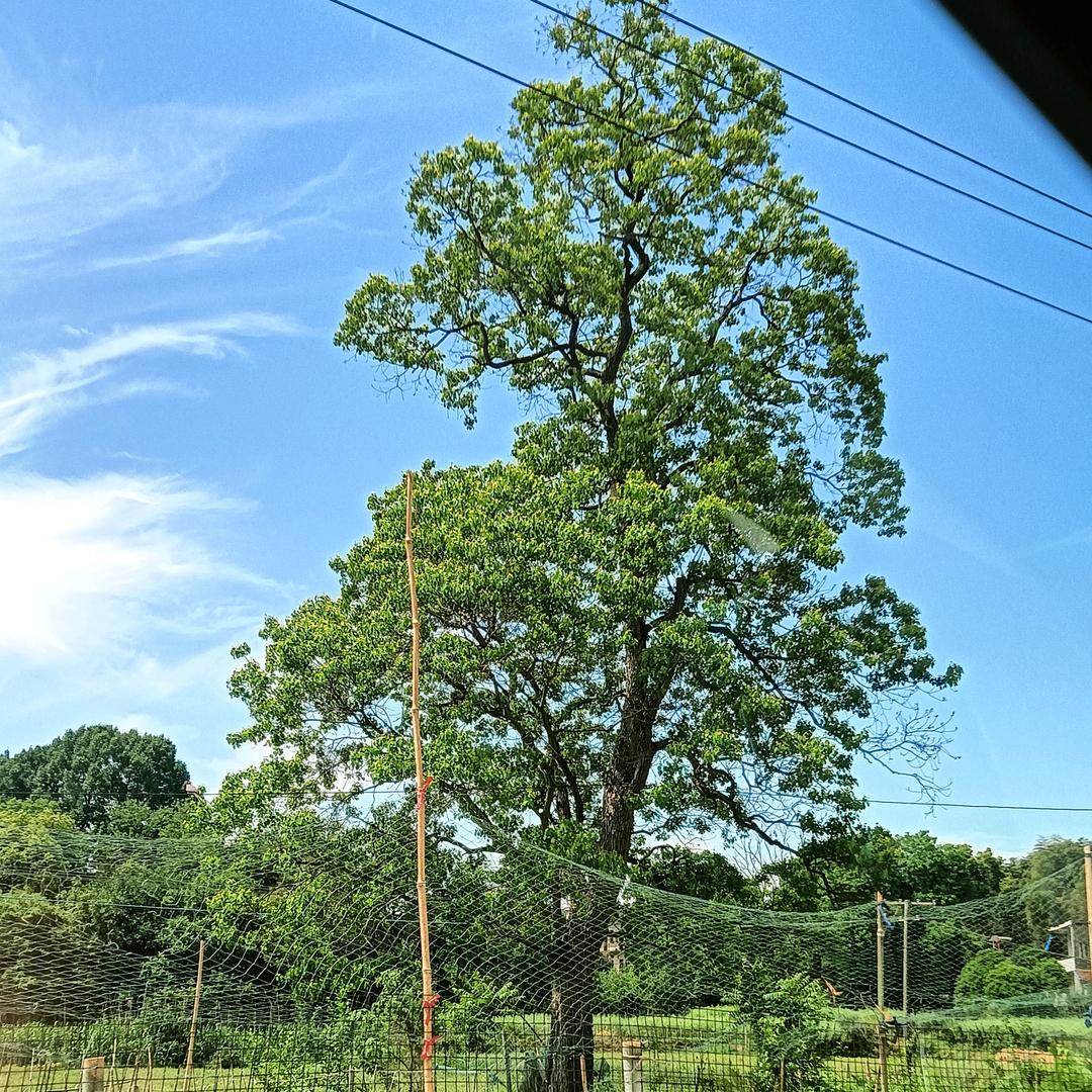 宏友建筑劳务有限公司