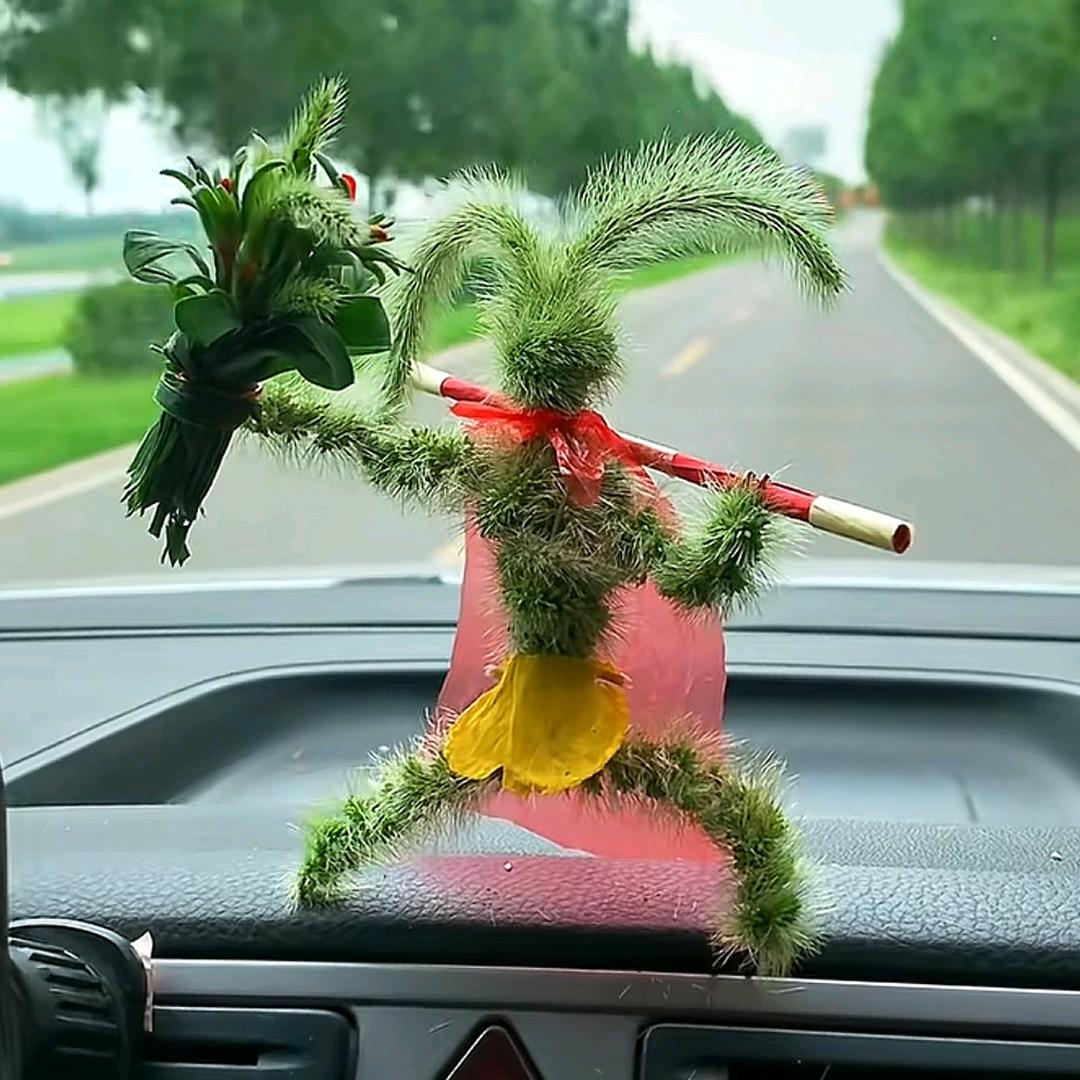 糖糖