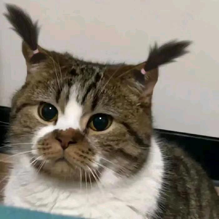 𝙠𝙠🐾