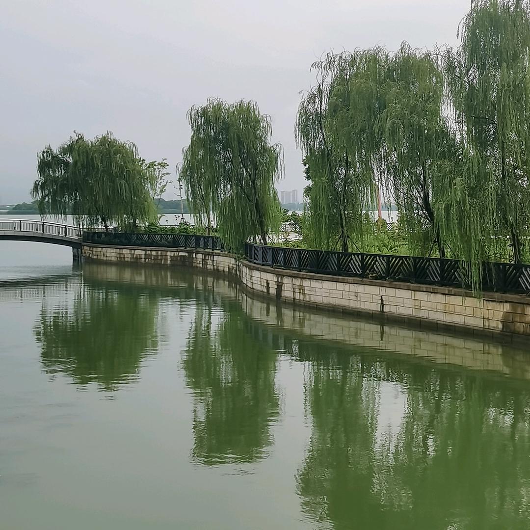 静水流深