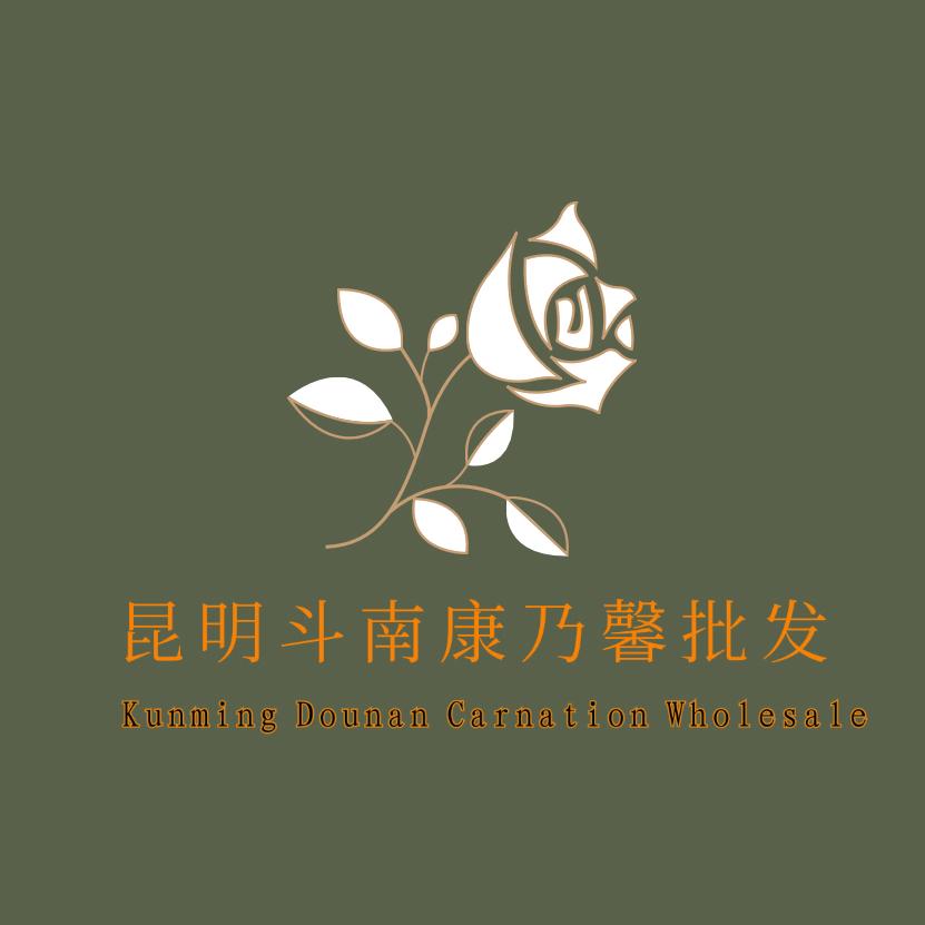 那些花儿康乃馨批发