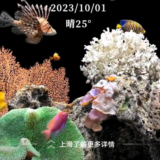 农村一年又一年。
