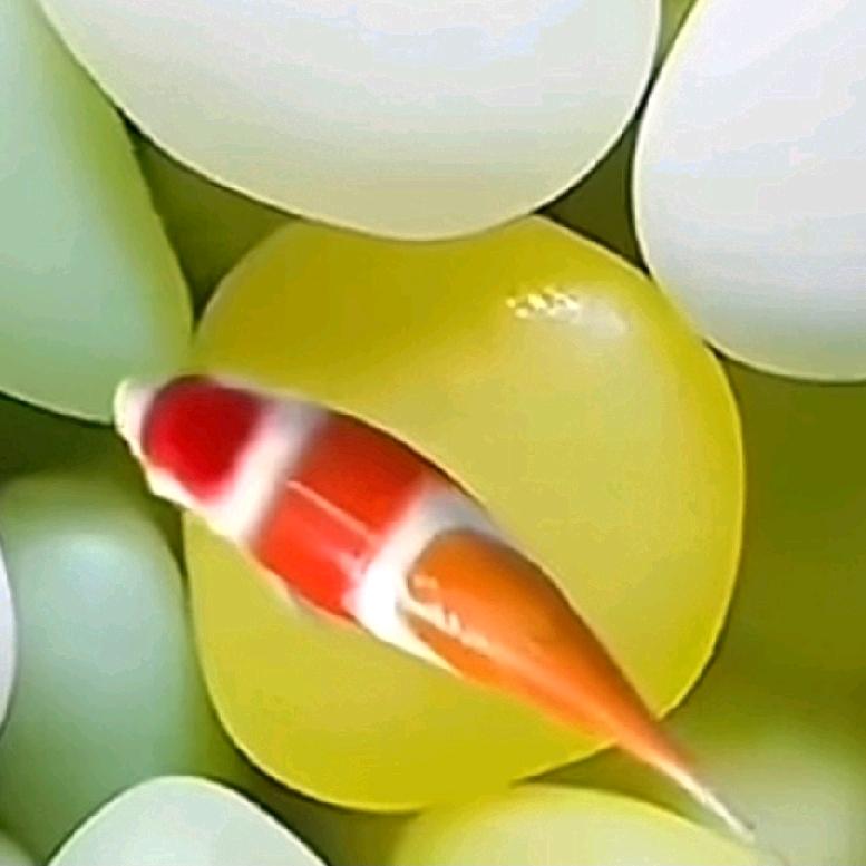 慧姐