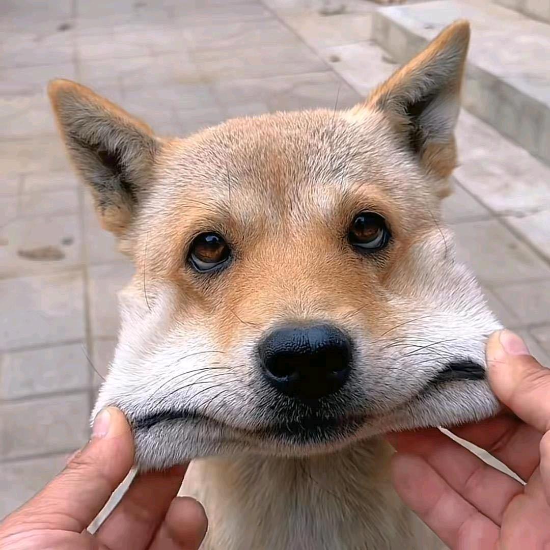 轨迹。