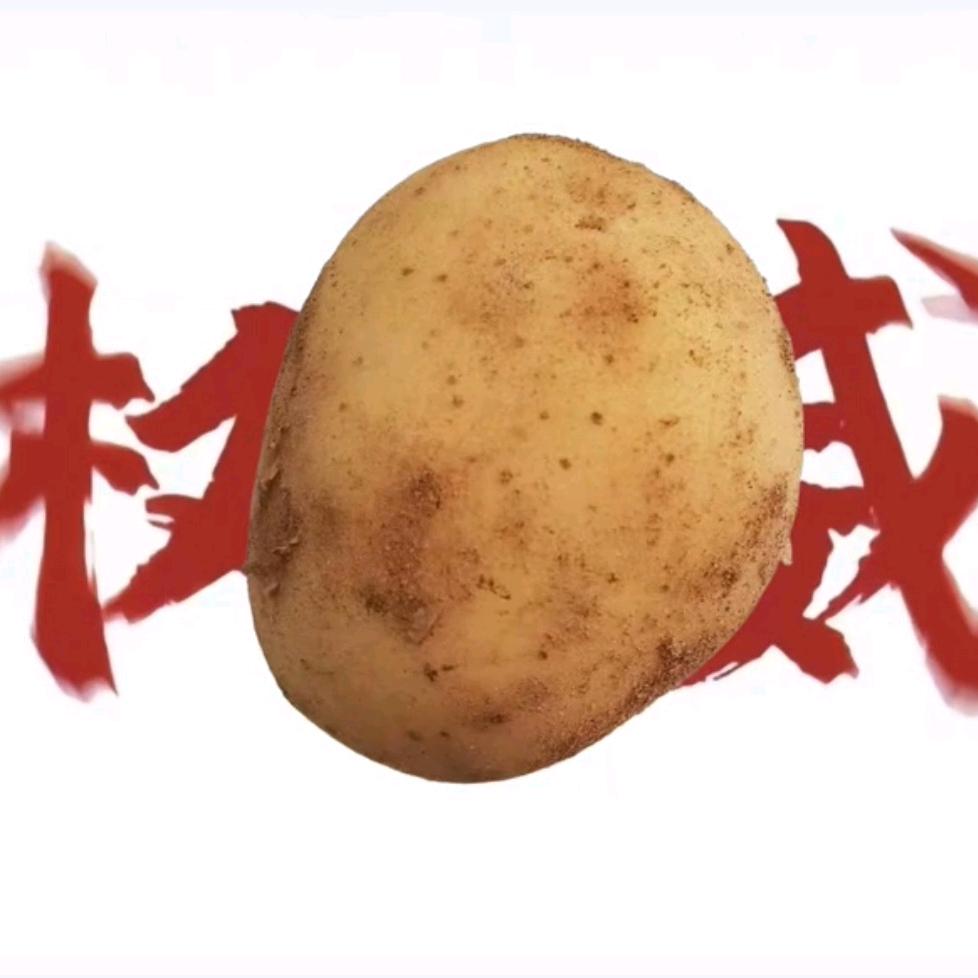 土豆（流放之路2）