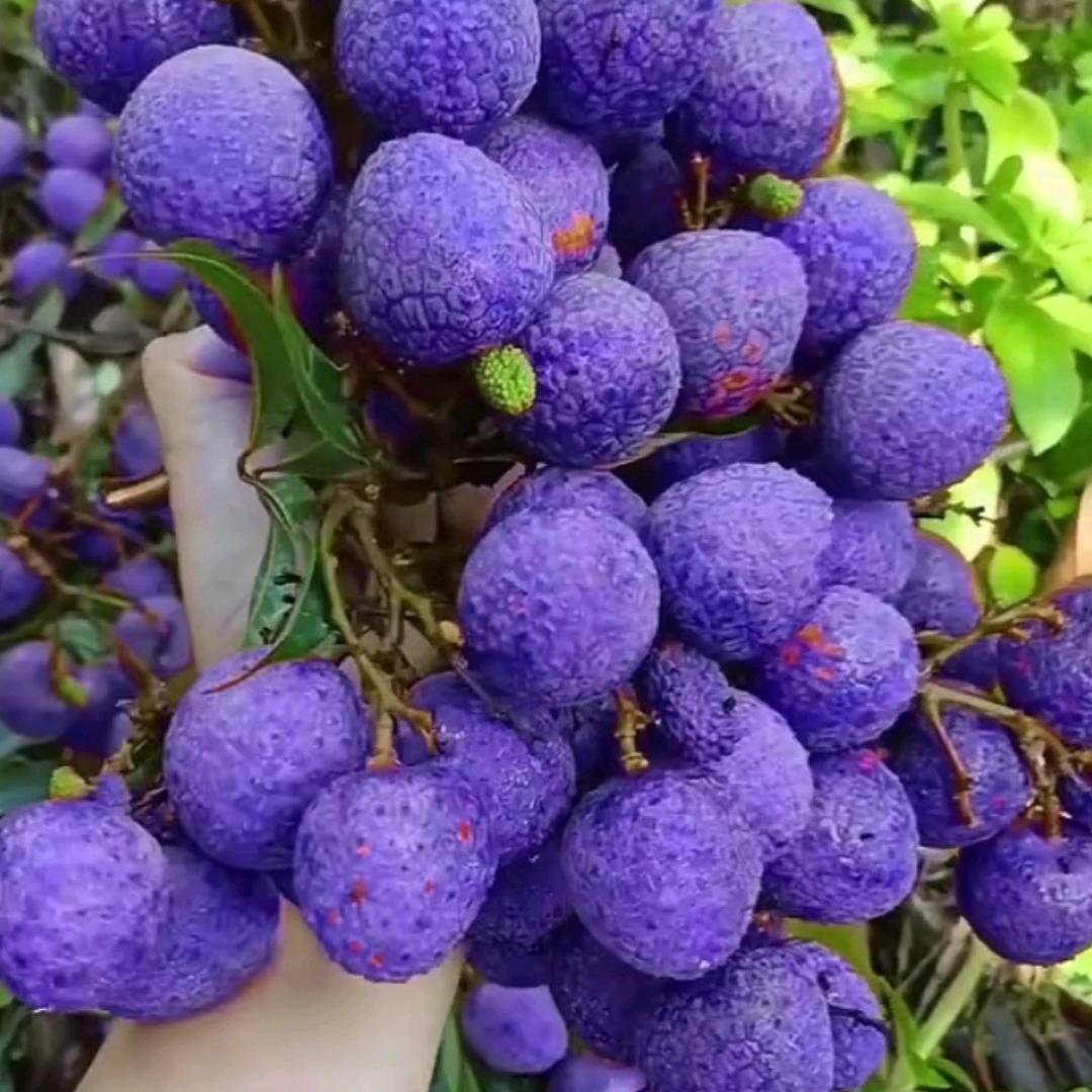 @好运连连@