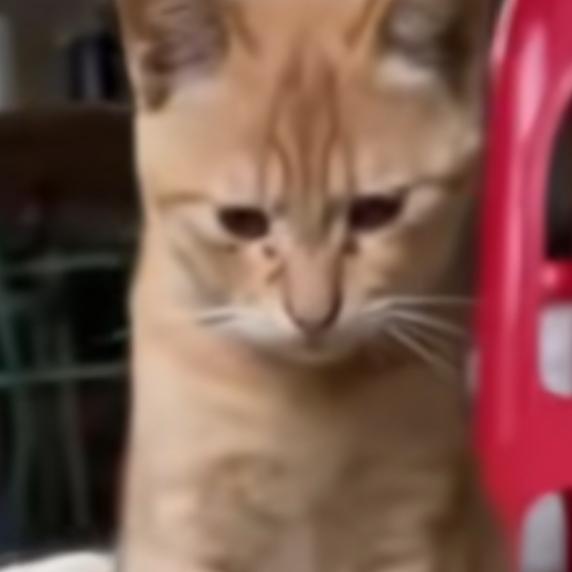 2️⃣2️⃣1️⃣