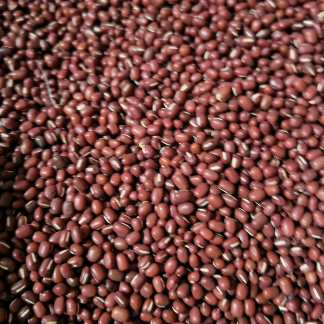 骑着蜗牛去旅游a