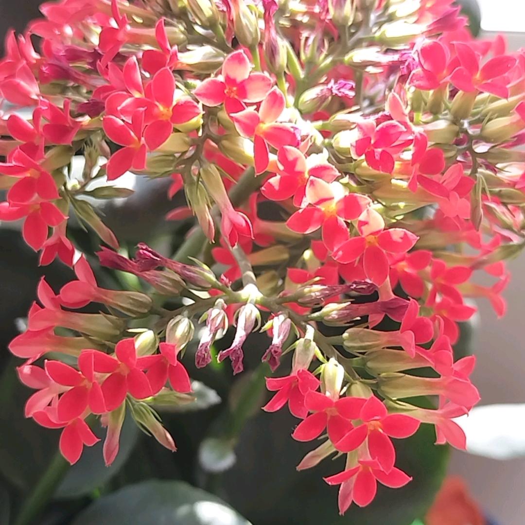 有一颗善良的心