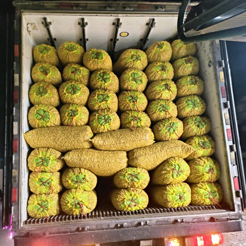 孝勇果蔬供应链