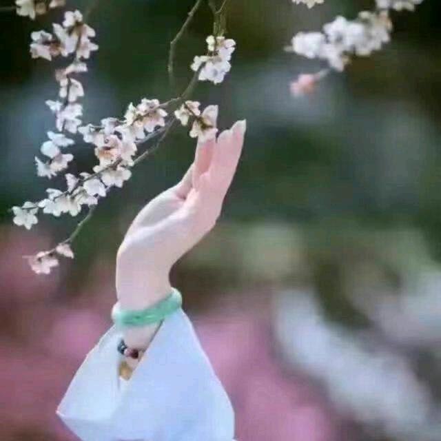 四川幺妹