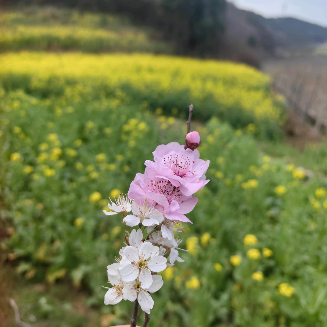 去掉半杯烦恼