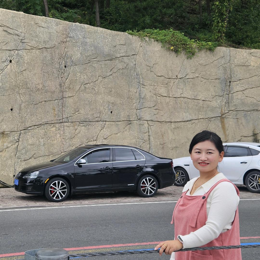 YWJM-老速腾MK5（老款大众车型整备