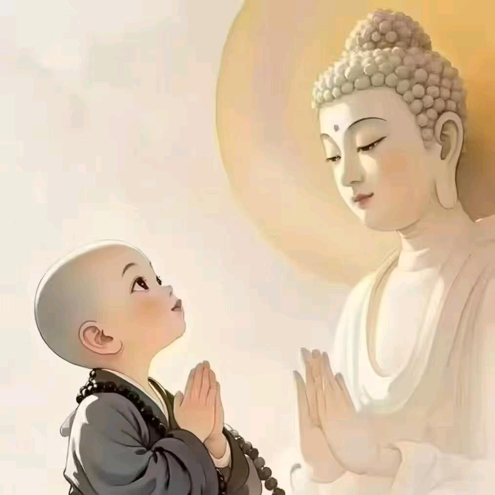 杨帆🎈启航💐