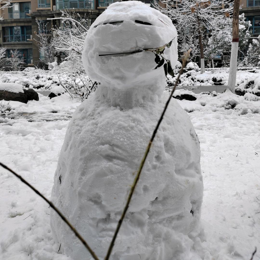 小白不白设计师