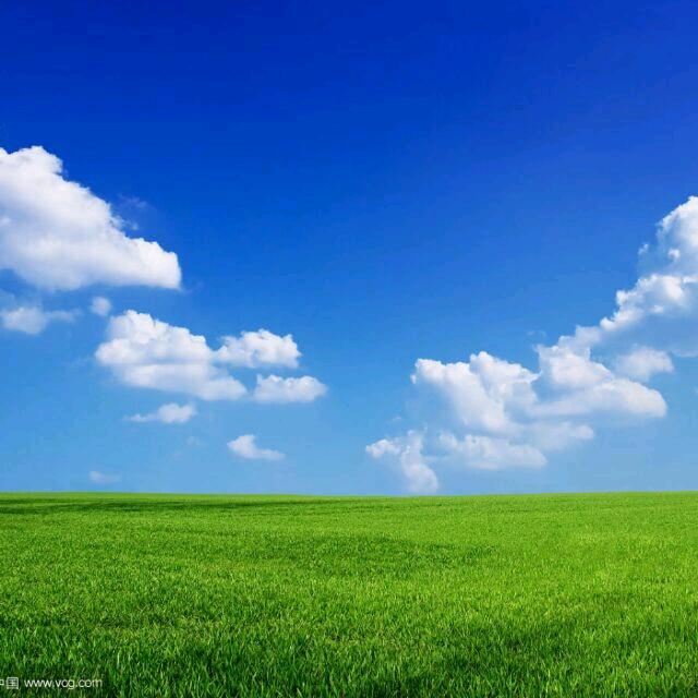 奇明百货新田市场