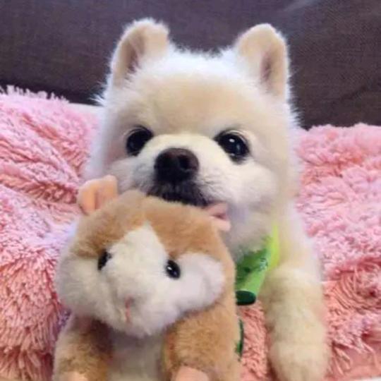 💕᭄ꦿ很幸运ོ࿆遇见你᭄🕊💕