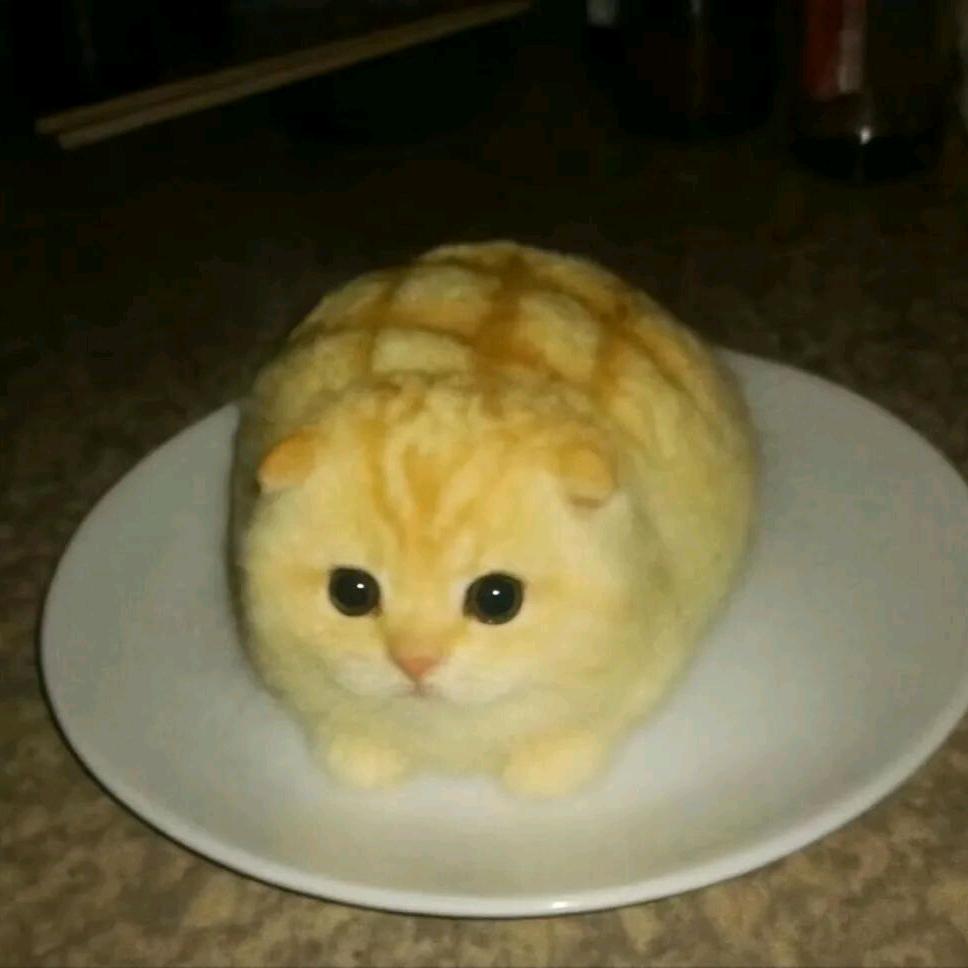 𝖔𝖗𝖆𝖓𝖟𝖊🍊