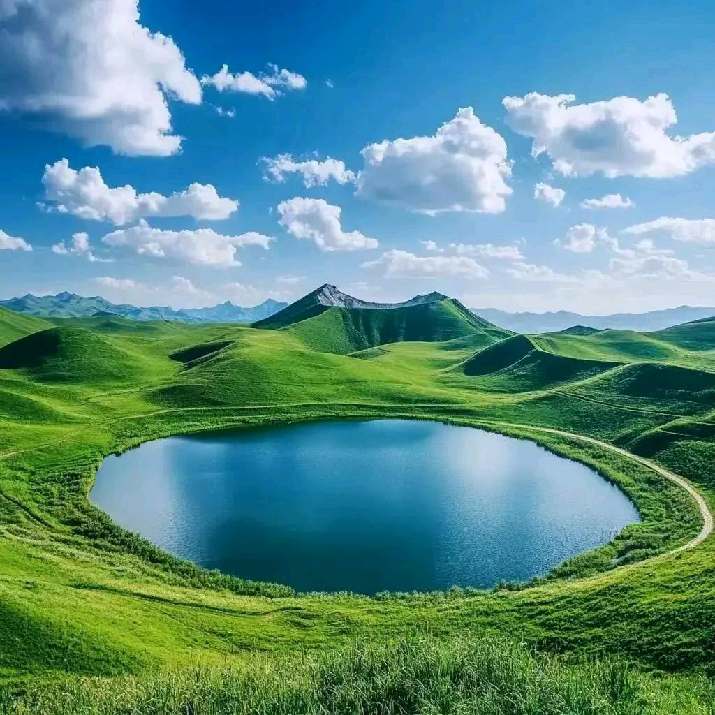 金色芒果