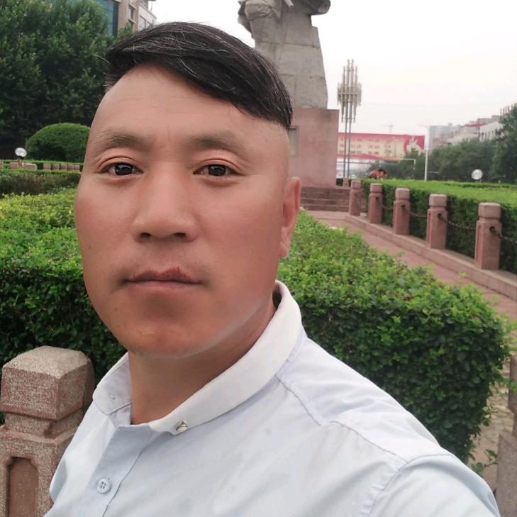 龙腾盛世凤舞九天