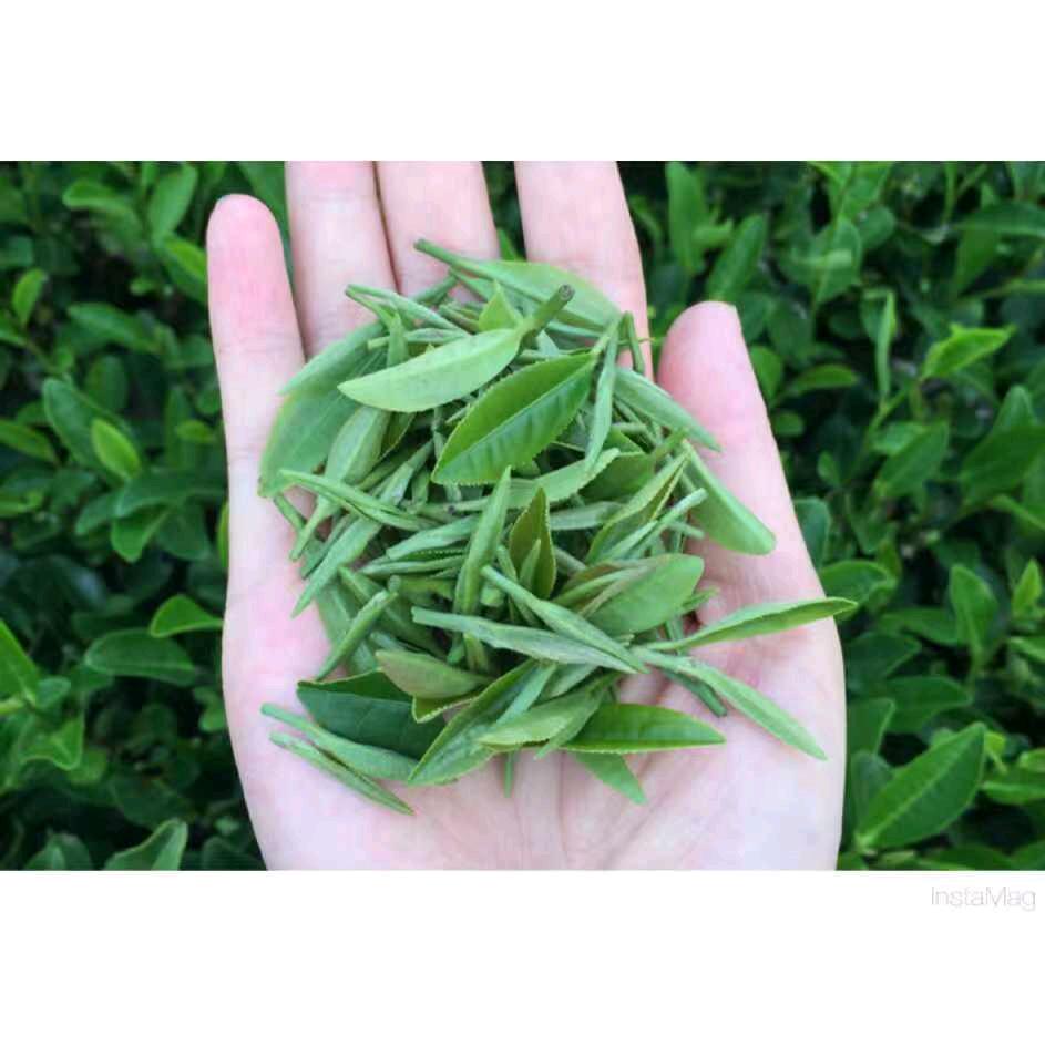 茶香幽幽