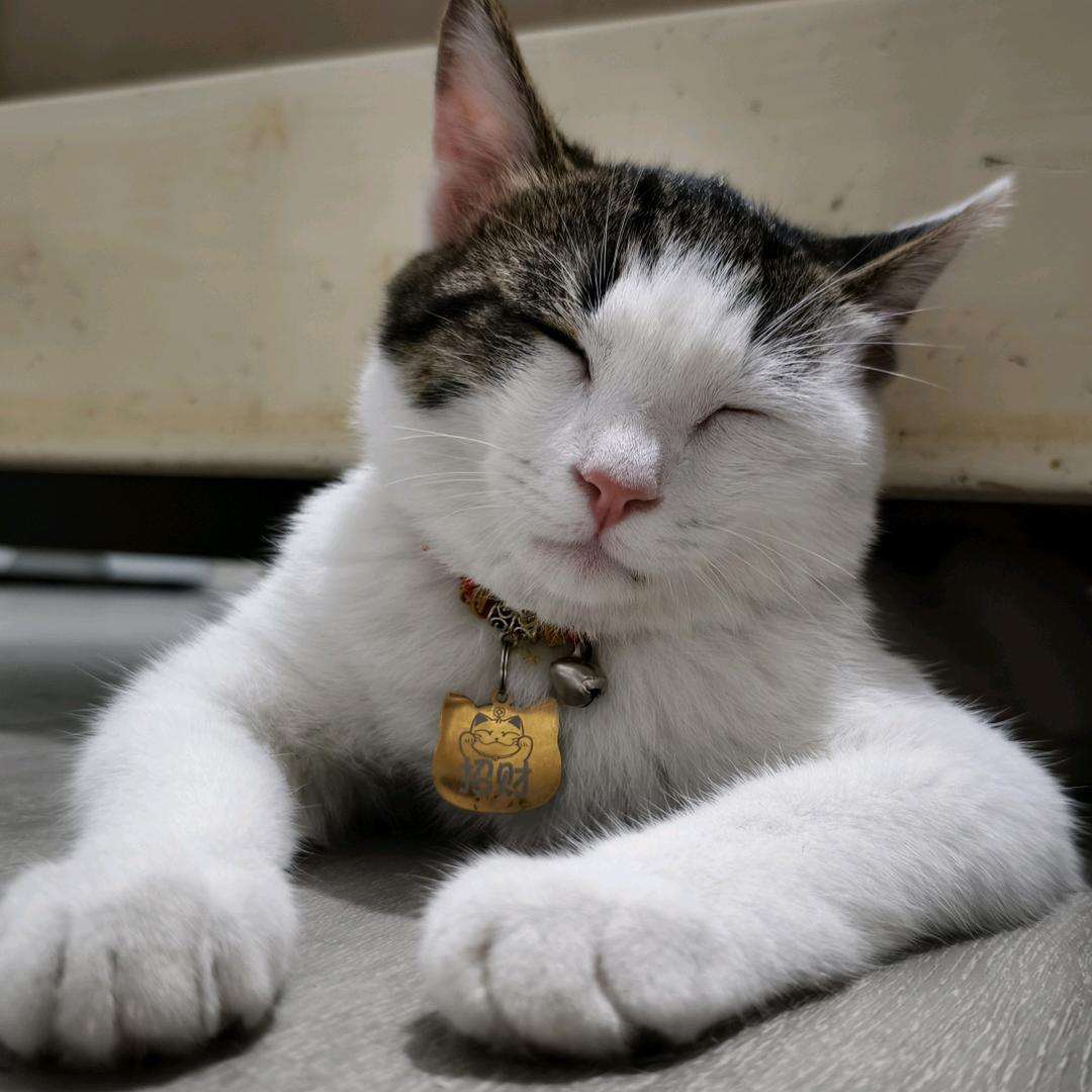 螺蛳粉拌臭豆腐