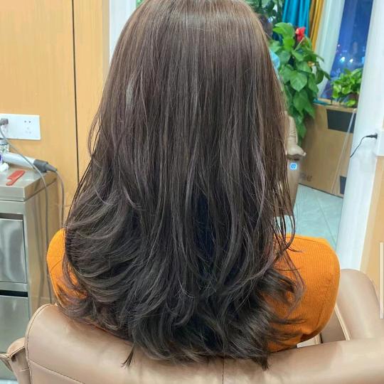 小燕子