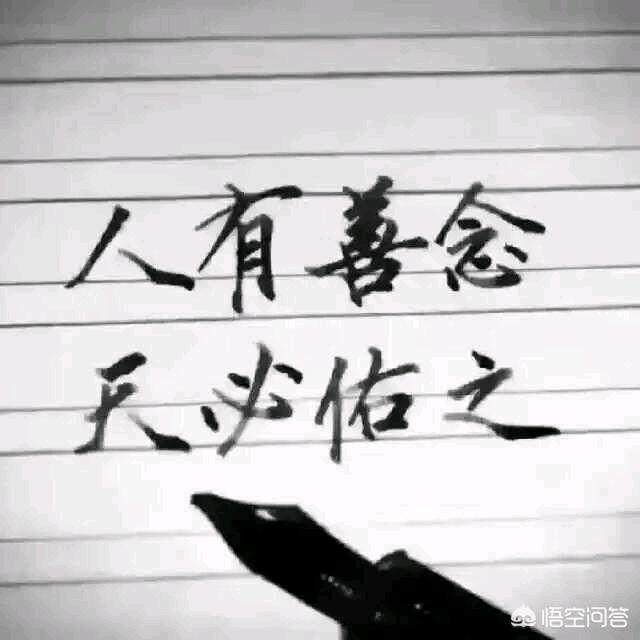 闽南洪歌爱歌又爱鸽