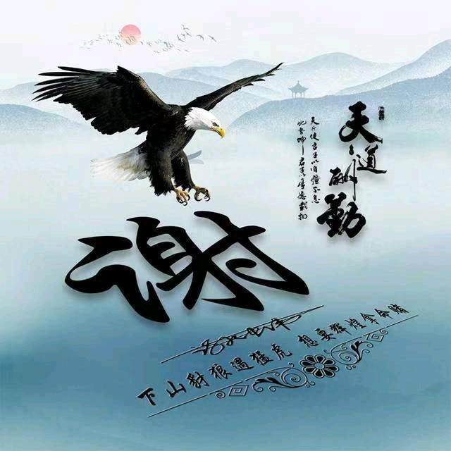 谢海文
