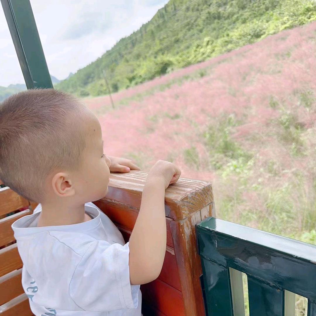 欲买桂花同载酒