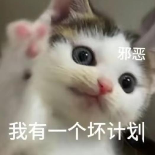 湖南星途径申面张国营