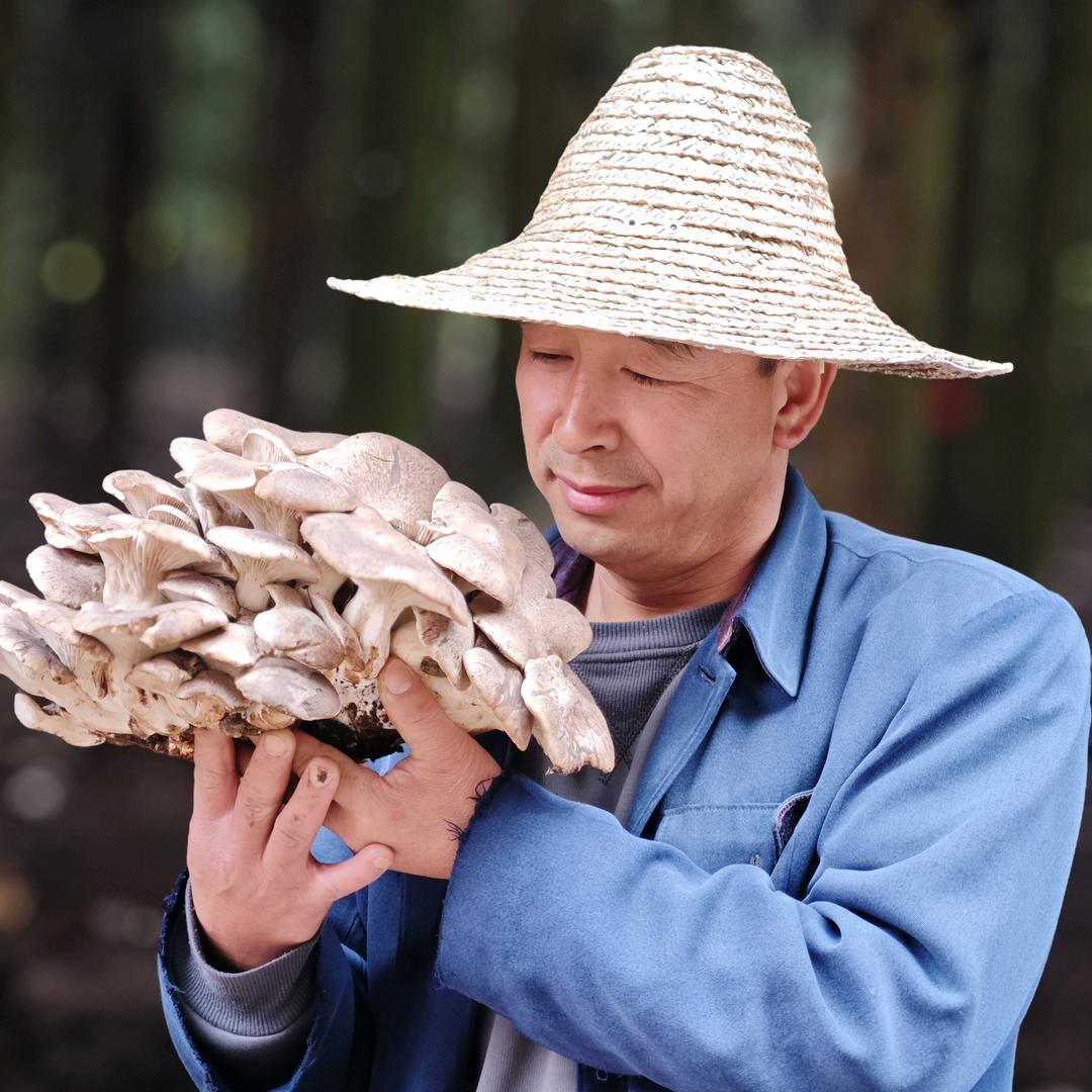 林哥甄选