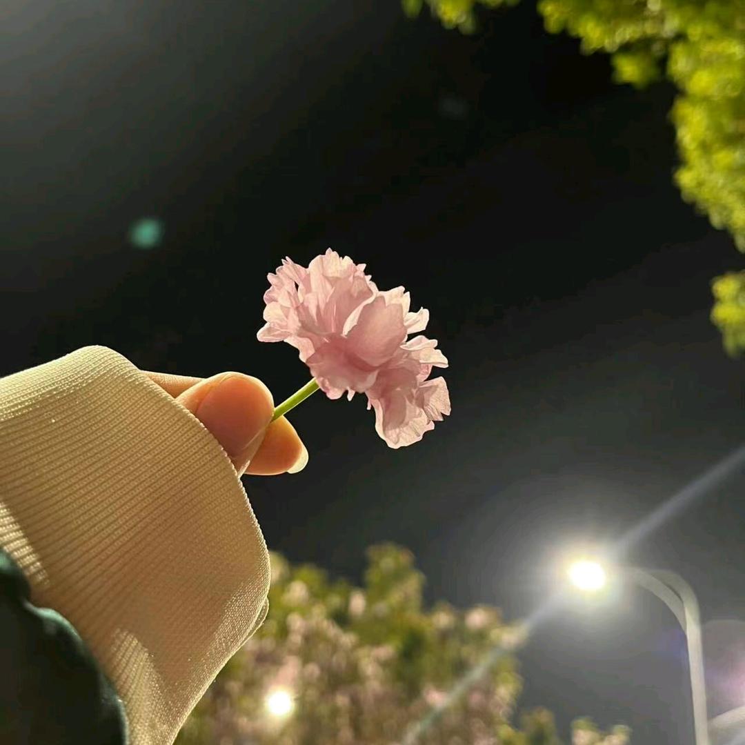 大倔驴