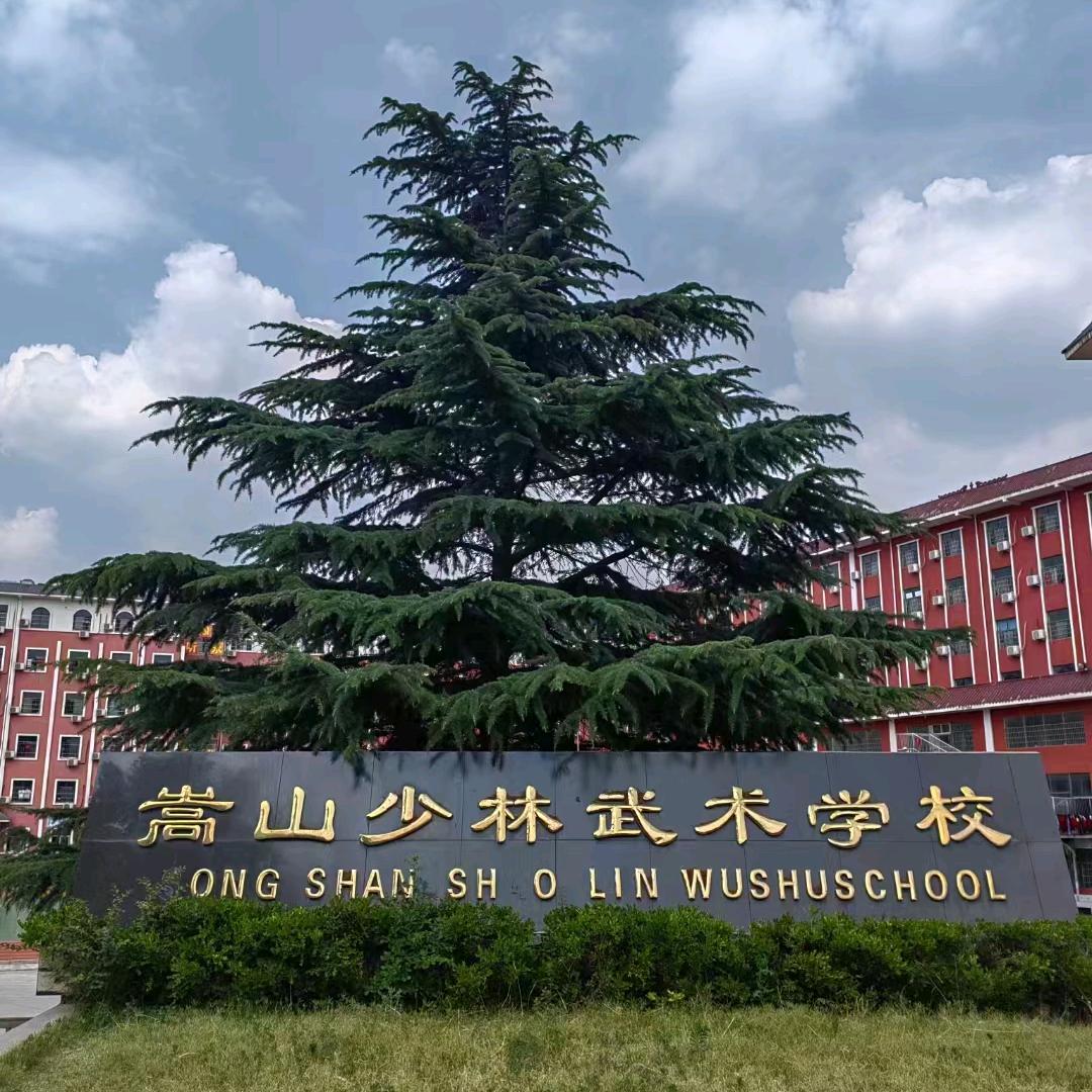 河南嵩山少林武术名校
