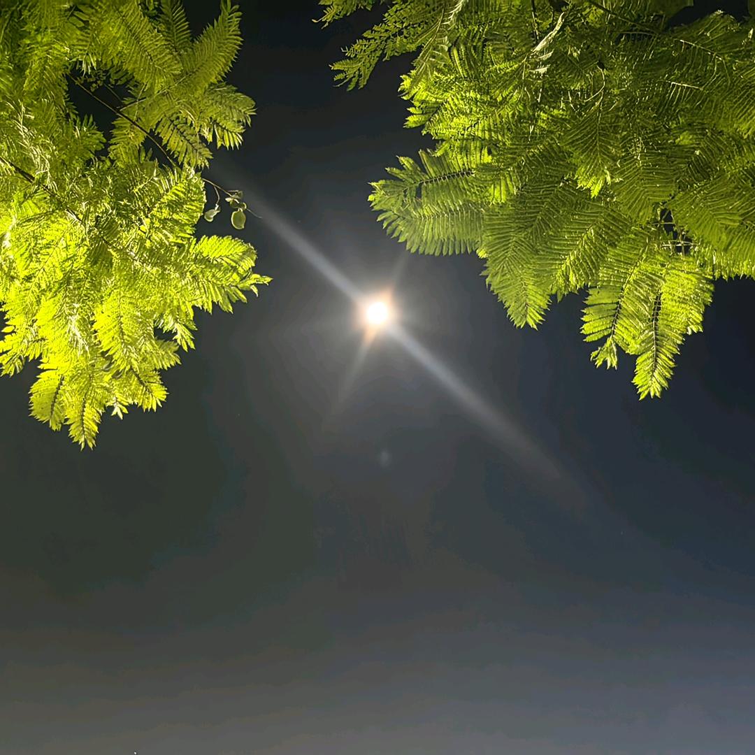 明月当空头像
