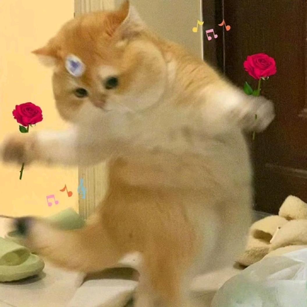 预留🍖