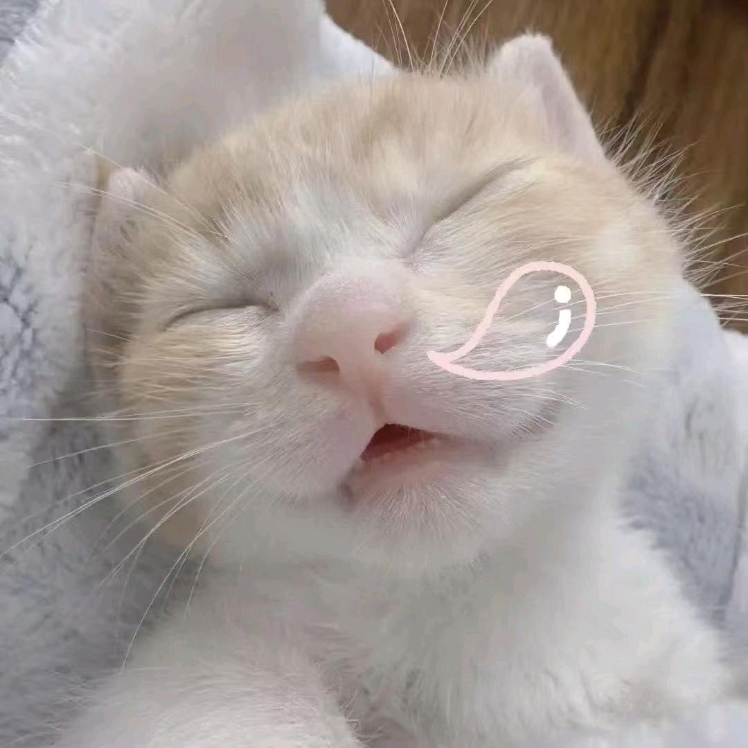 兰