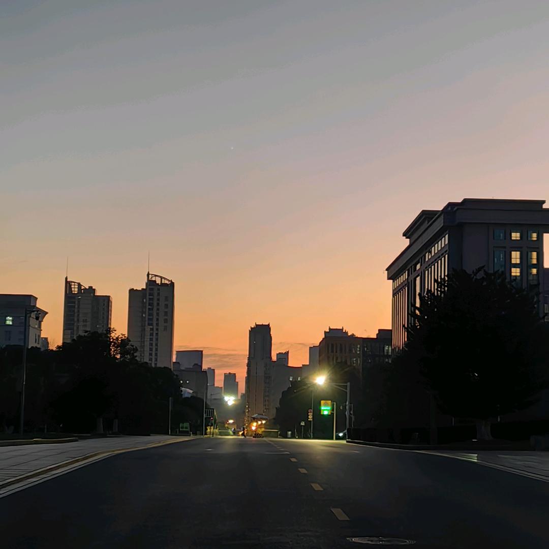 渡鸦