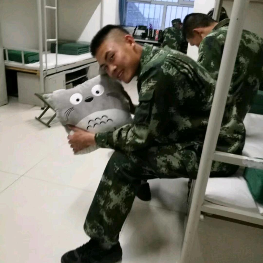 陈怼怼