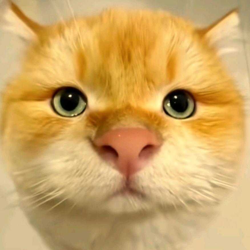 虾仁🦐猪心🐷