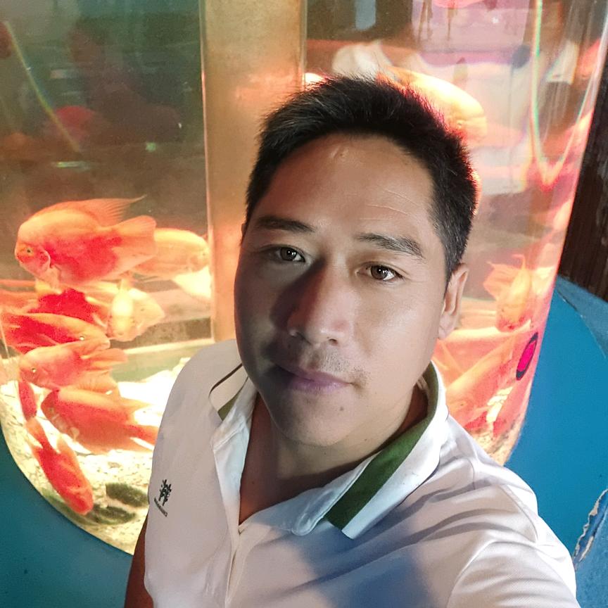 前程似锦，锦上添花