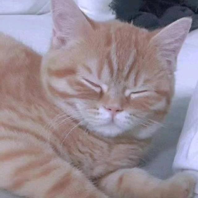 今天星期五