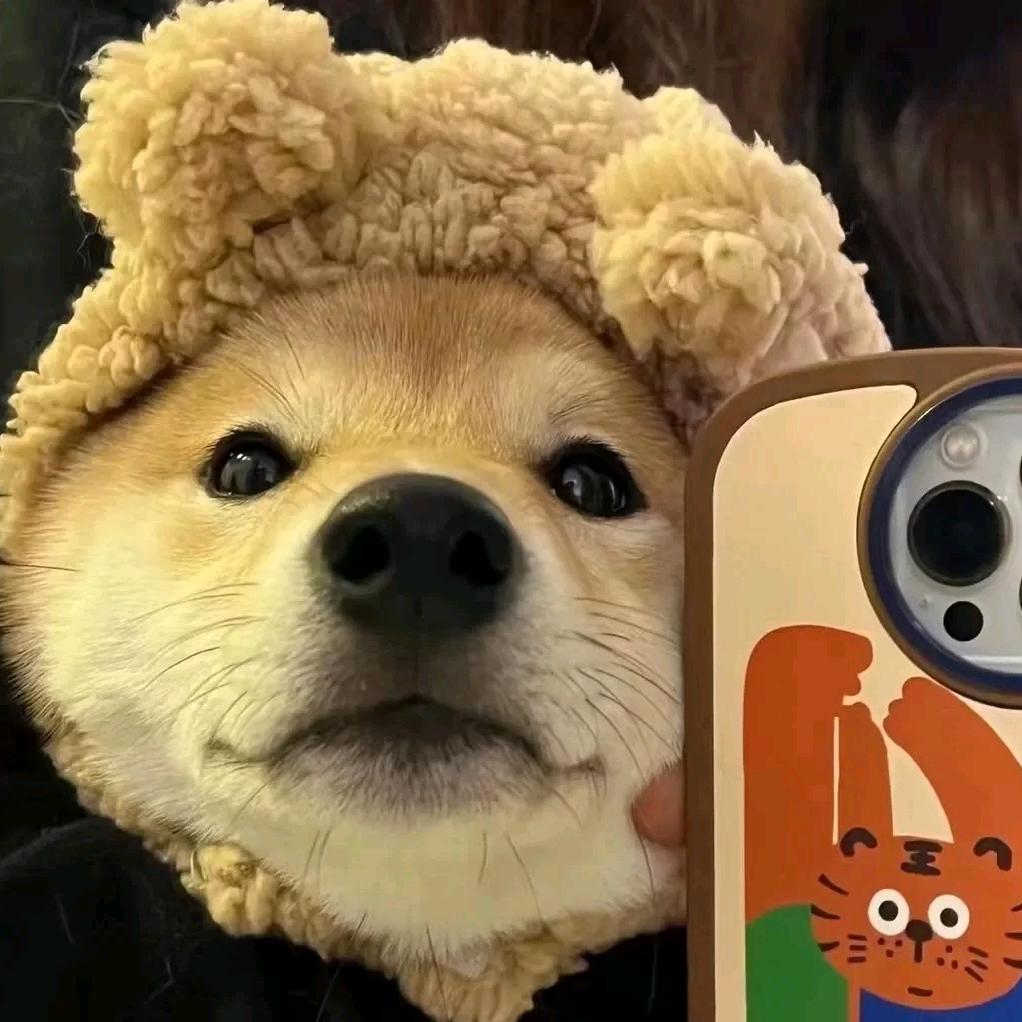 何。