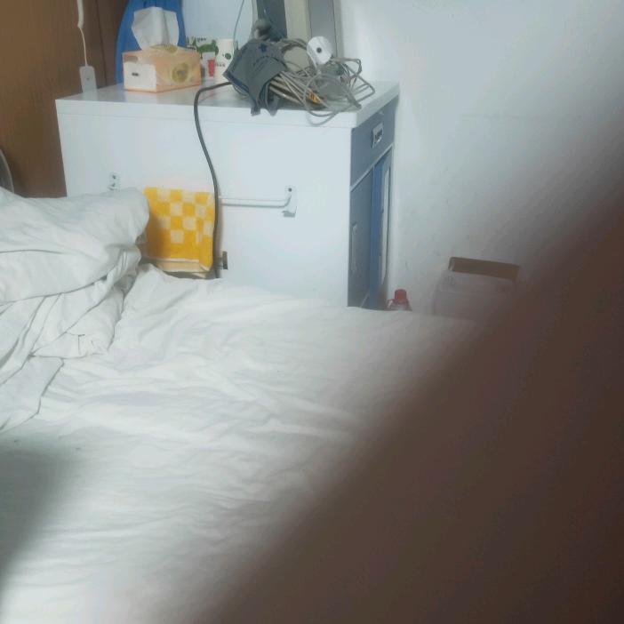 陈师