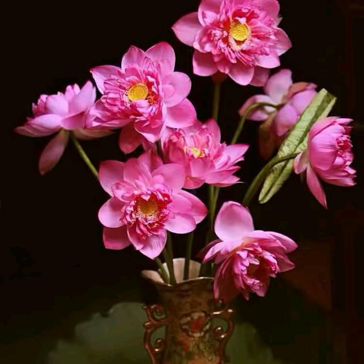花落谁家！