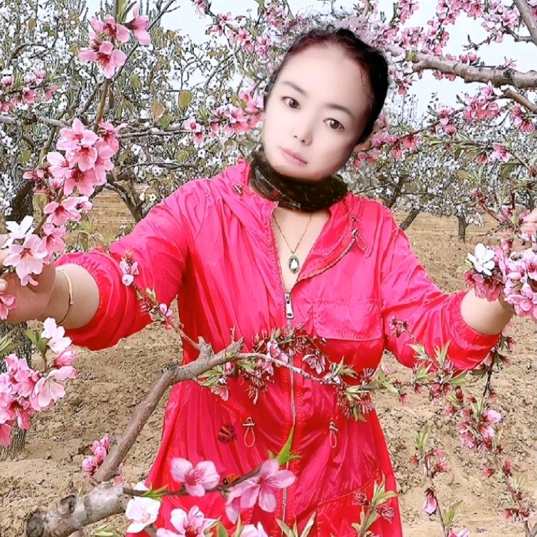 美玉梅雪