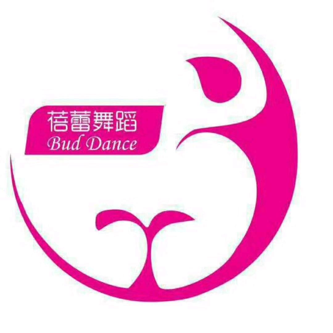 蓓之蕾舞蹈（国标舞艺考）