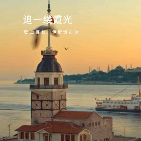 临丰鲜果团购