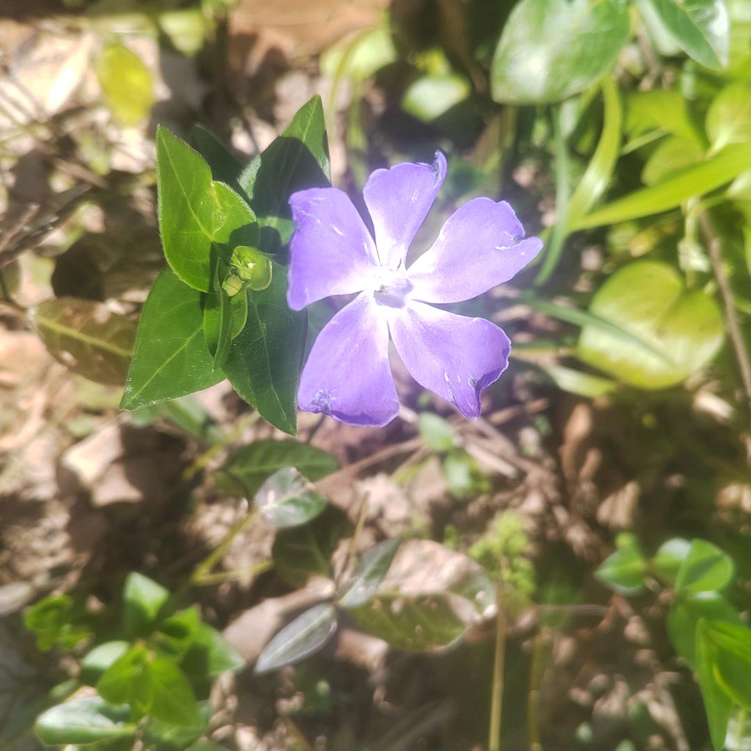 🌈🌈是与不是~~~